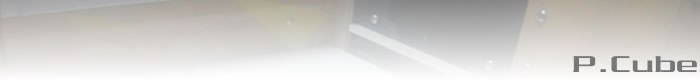 P.Cube